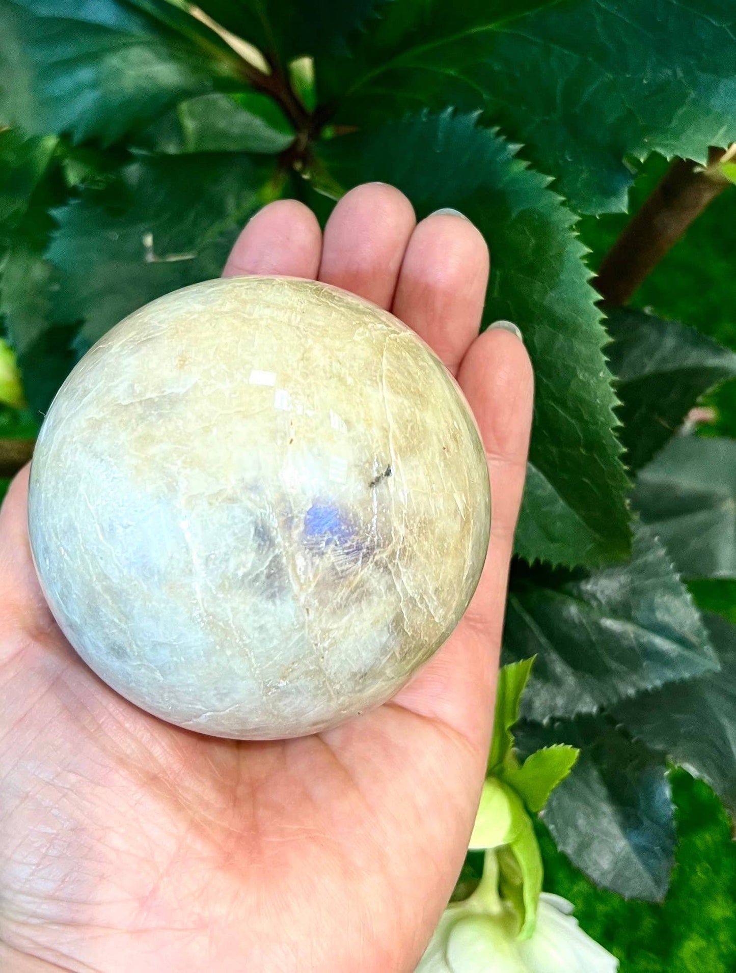 Wholesale Lot 3 Pcs Natural Moonstone Spheres Crystal Ball 1.9-2 Lb Healing Energy