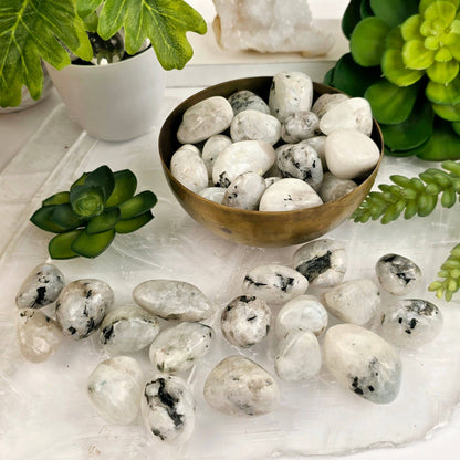 White Moonstone Crystal Tumbled Stones - Medium Size