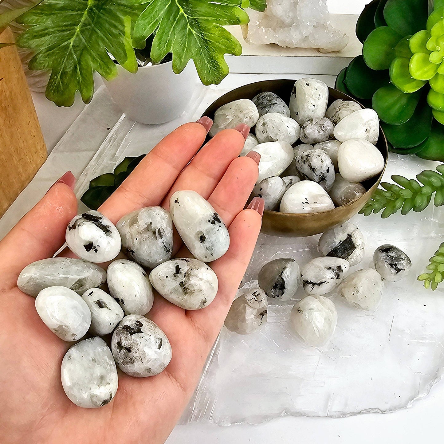 White Moonstone Crystal Tumbled Stones - Medium Size