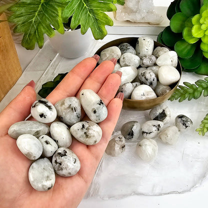 White Moonstone Crystal Tumbled Stones - Medium Size