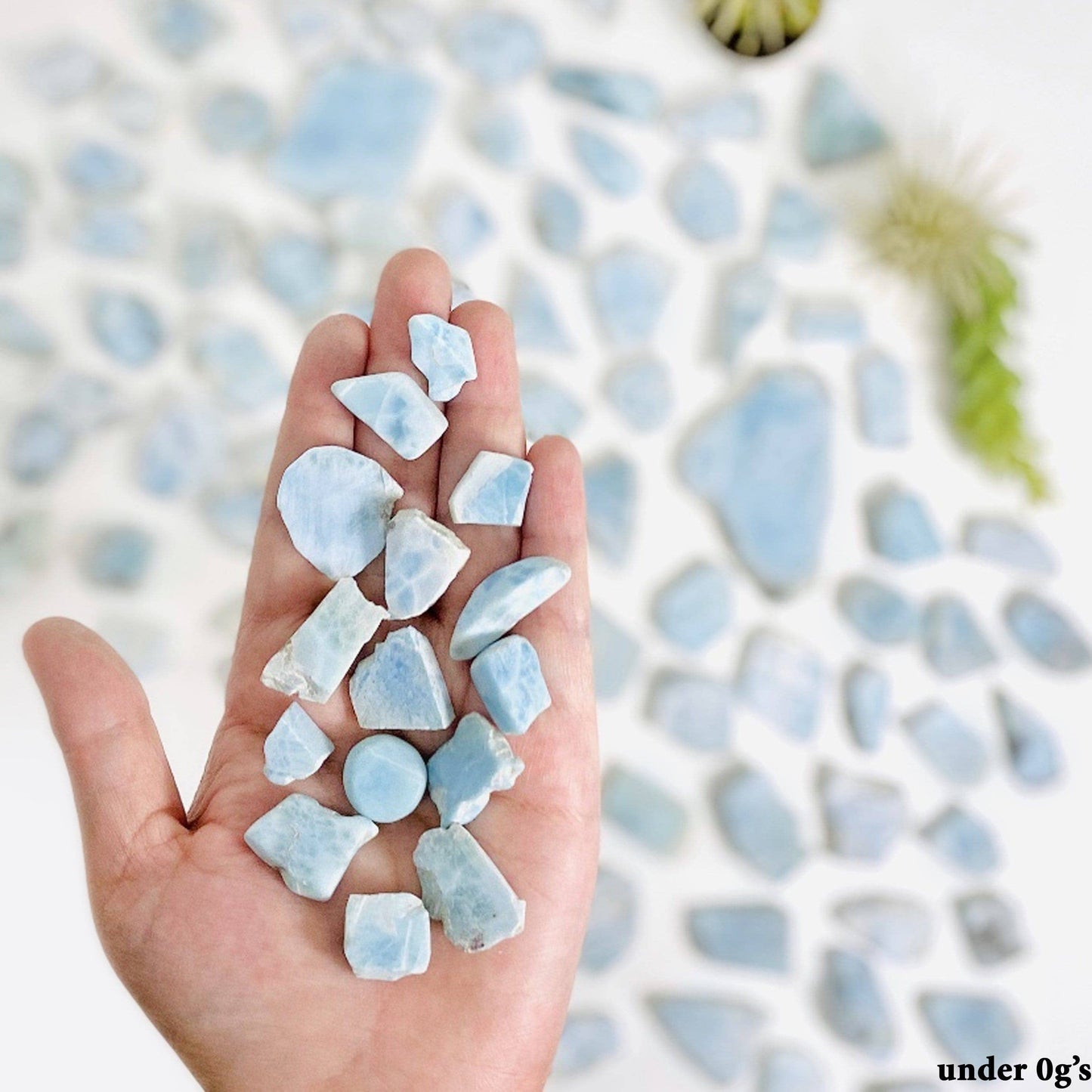 Larimar Freeformed Crystal Cabochons - By Weight (RK24)