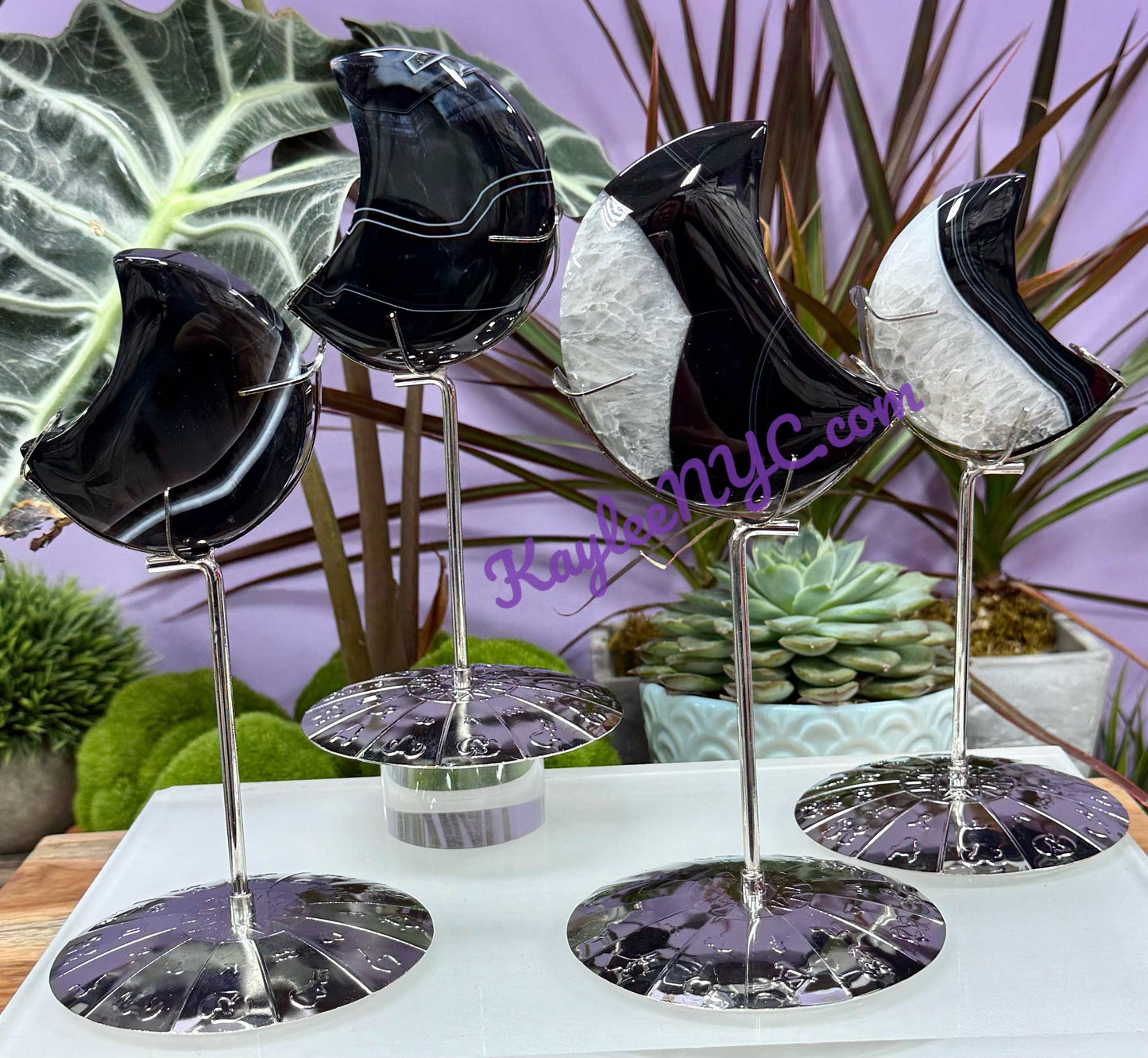 Natural Black Onyx Moon w Zodiac stand