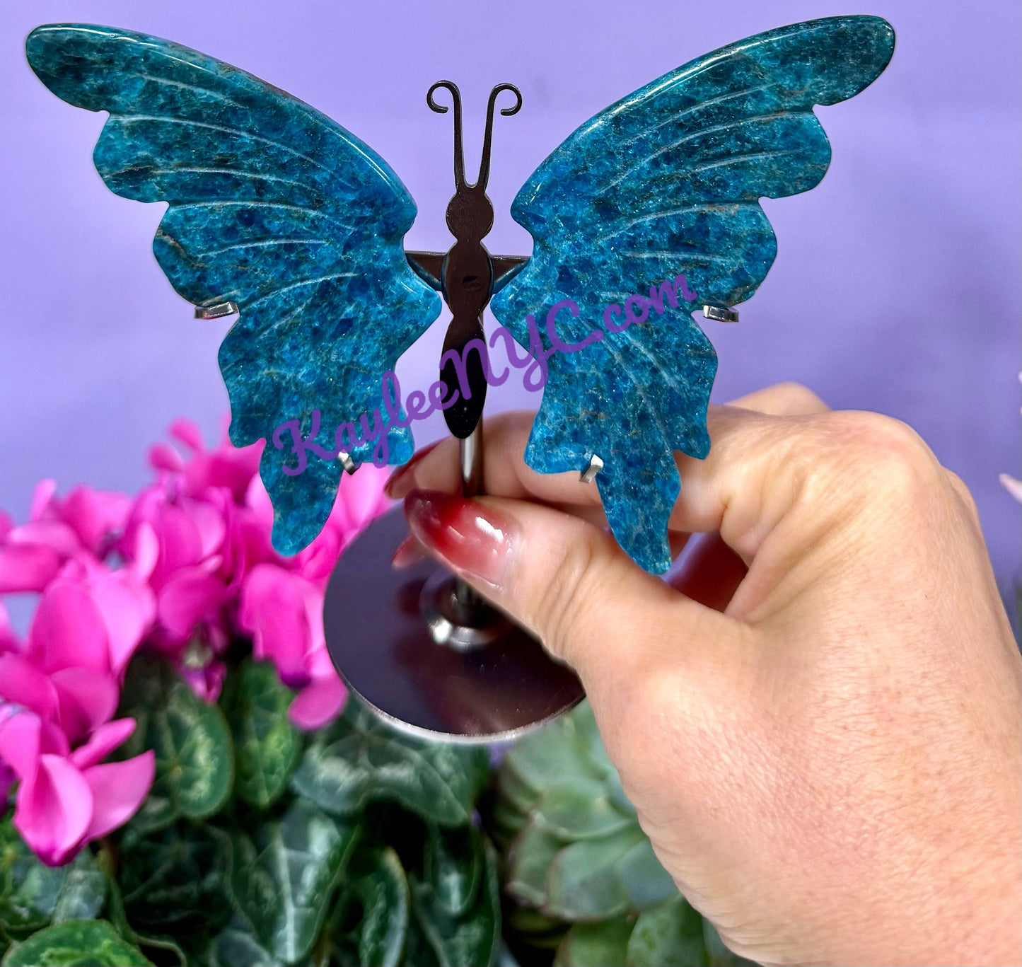 Wholesale Lot 4 Pcs Natural Apatite butterfly Crystal 