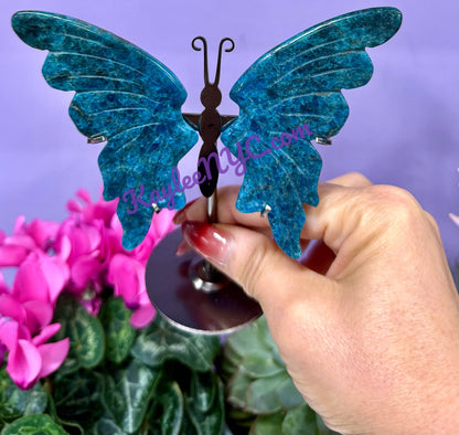 Wholesale Lot 4 Pcs Natural Apatite butterfly Crystal 