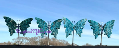 Wholesale Lot 4 Pcs Natural Apatite butterfly Crystal 