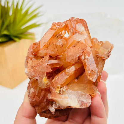 Tangerine Crystal Quartz Clusters - By Weight -