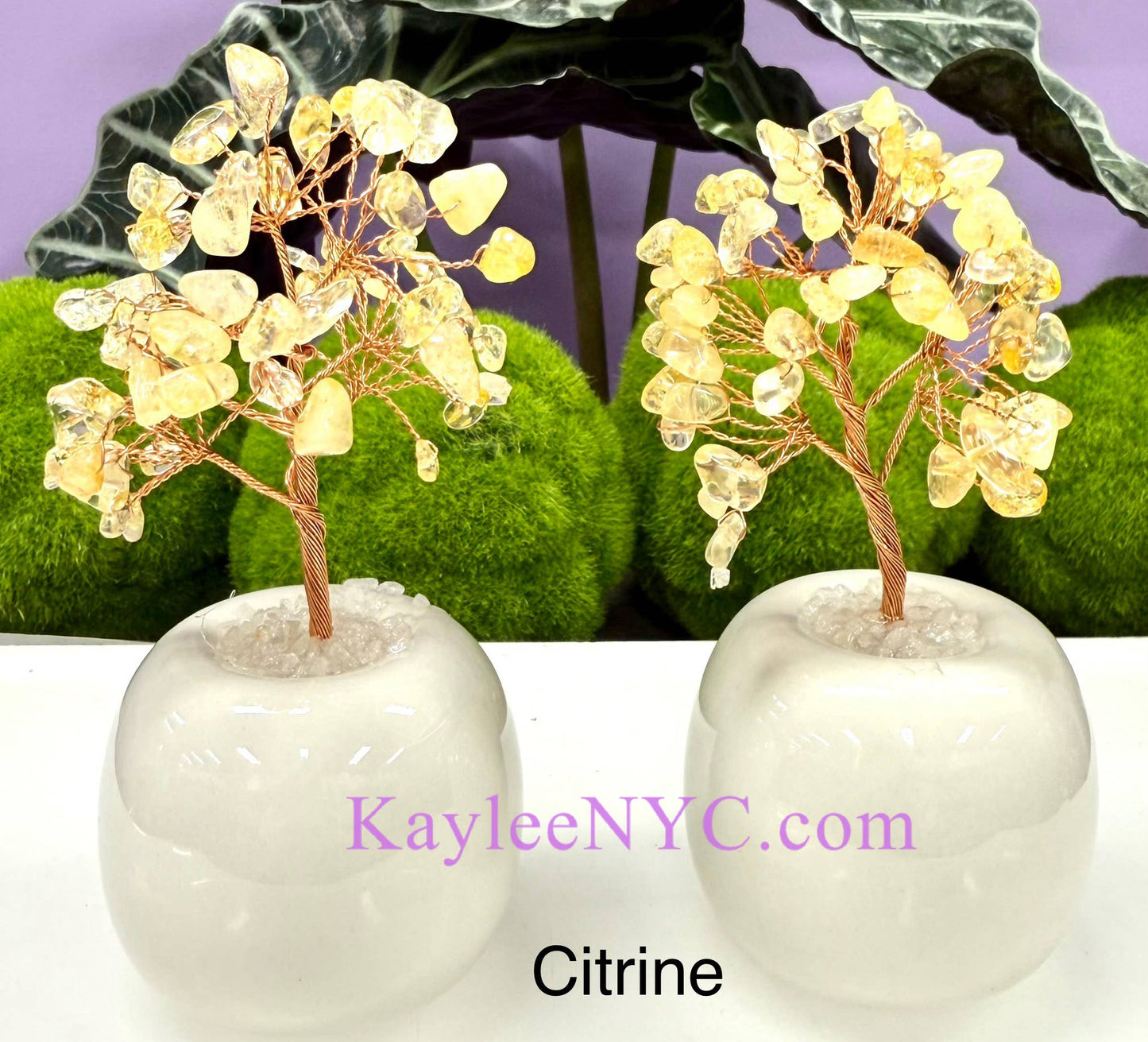 Natural Crystal Tree with Bowl Base