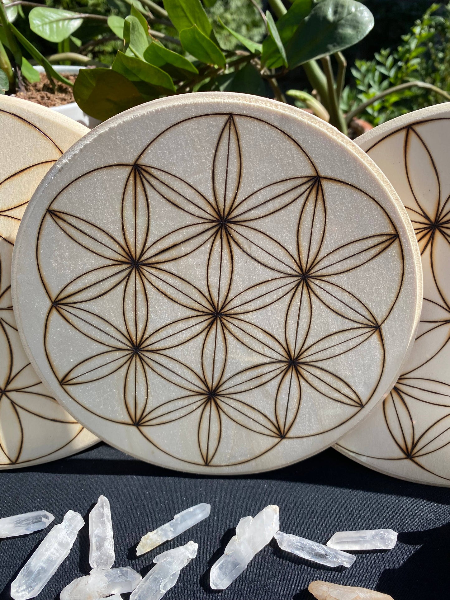 Hand Burned Crystal Grid Collection-Flower of Life variation