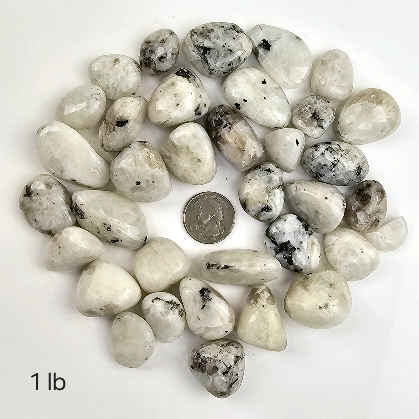 White Moonstone Crystal Tumbled Stones - Medium Size